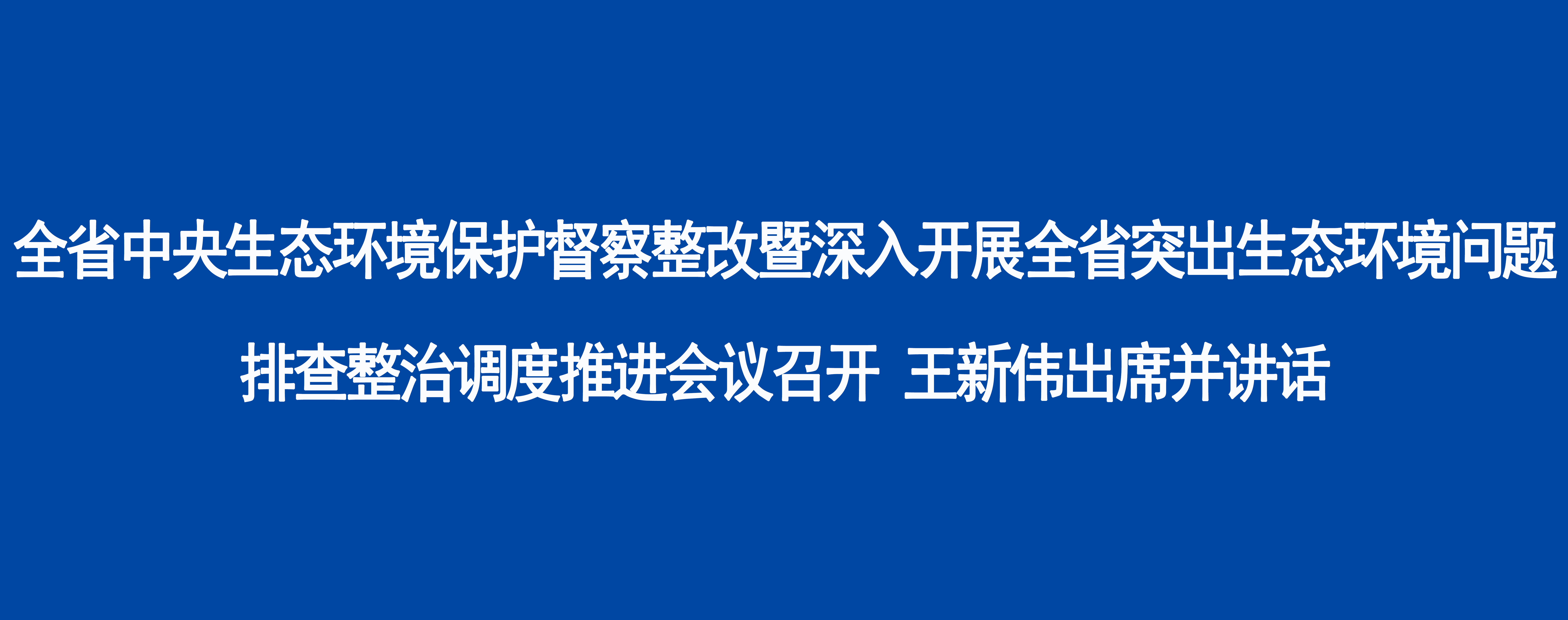 全省中央生态环境保护督察整改暨深入开展全省突出生态环境问题排查整治调度推进会议召开 王新伟出席并讲话