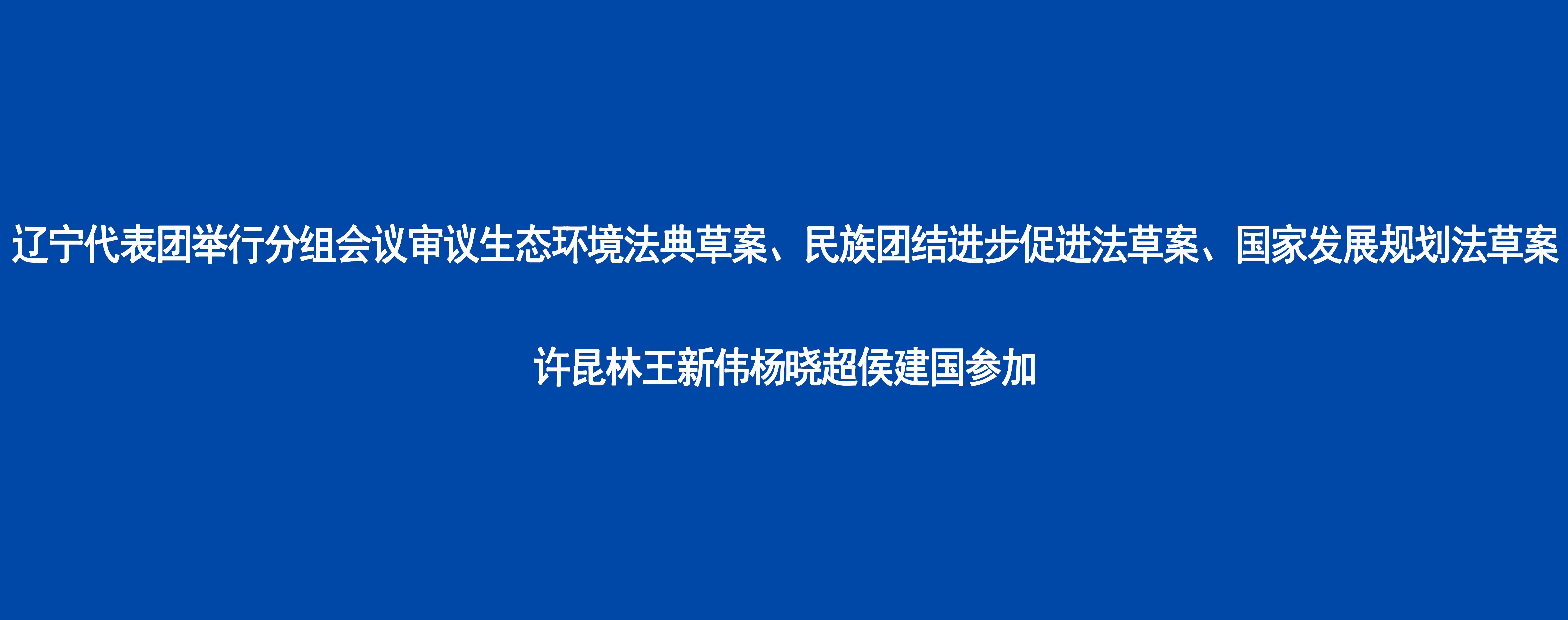 辽宁代表团举行分组会议审议生态环境法典草案、民族团结进步促进法草案、国家发展规划法草案 许昆林王新伟杨晓超侯建国参加